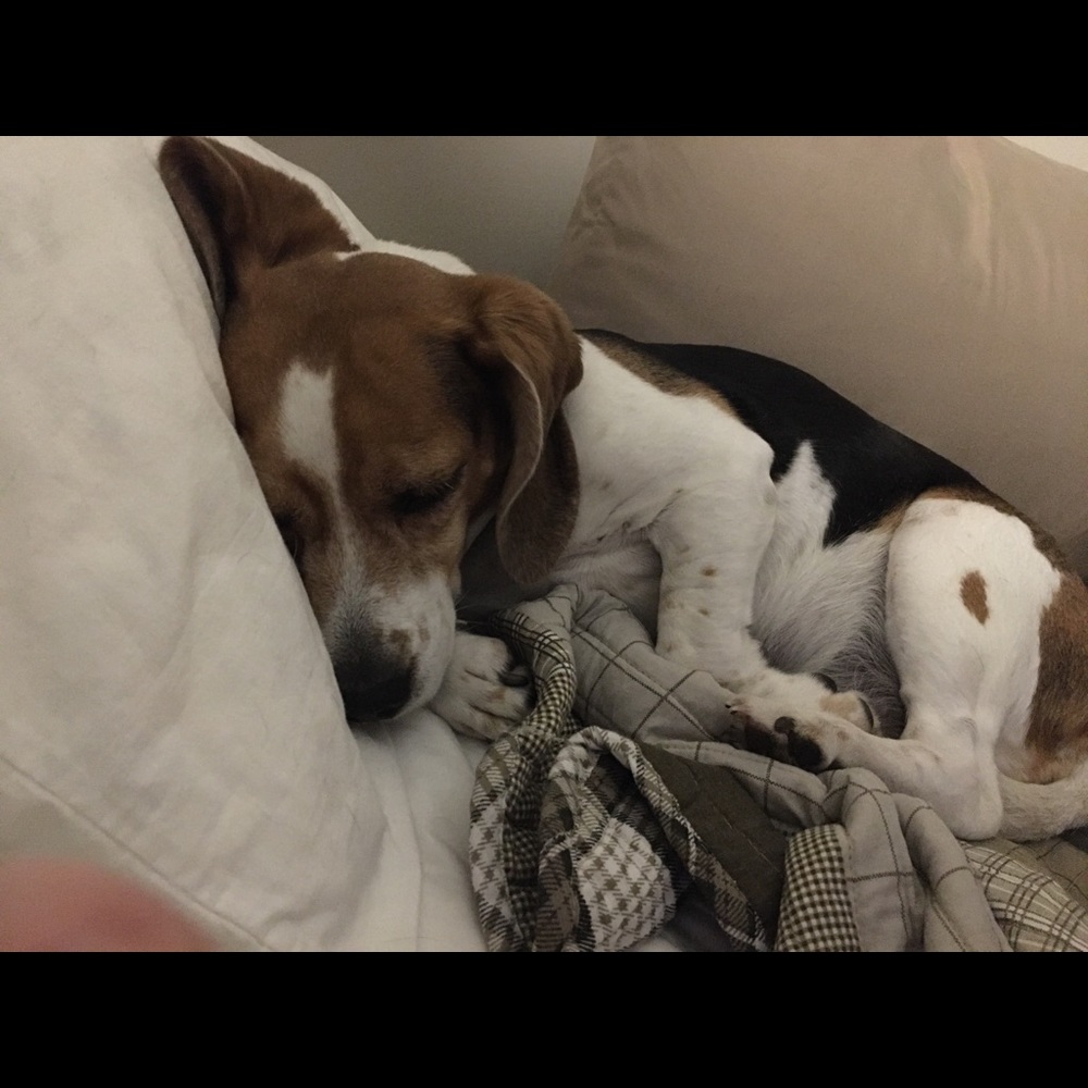 Meet your Posher, Mary